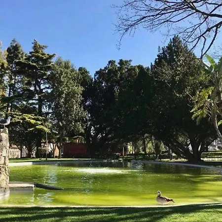 里斯本客房公寓 招待所