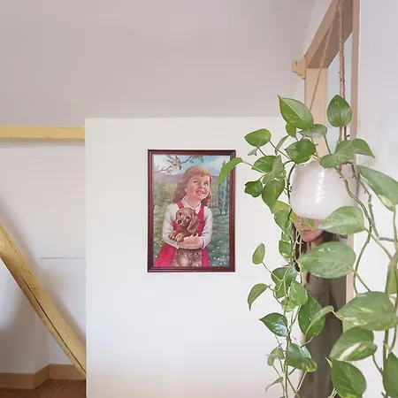 里斯本客房公寓 3* Lisboa